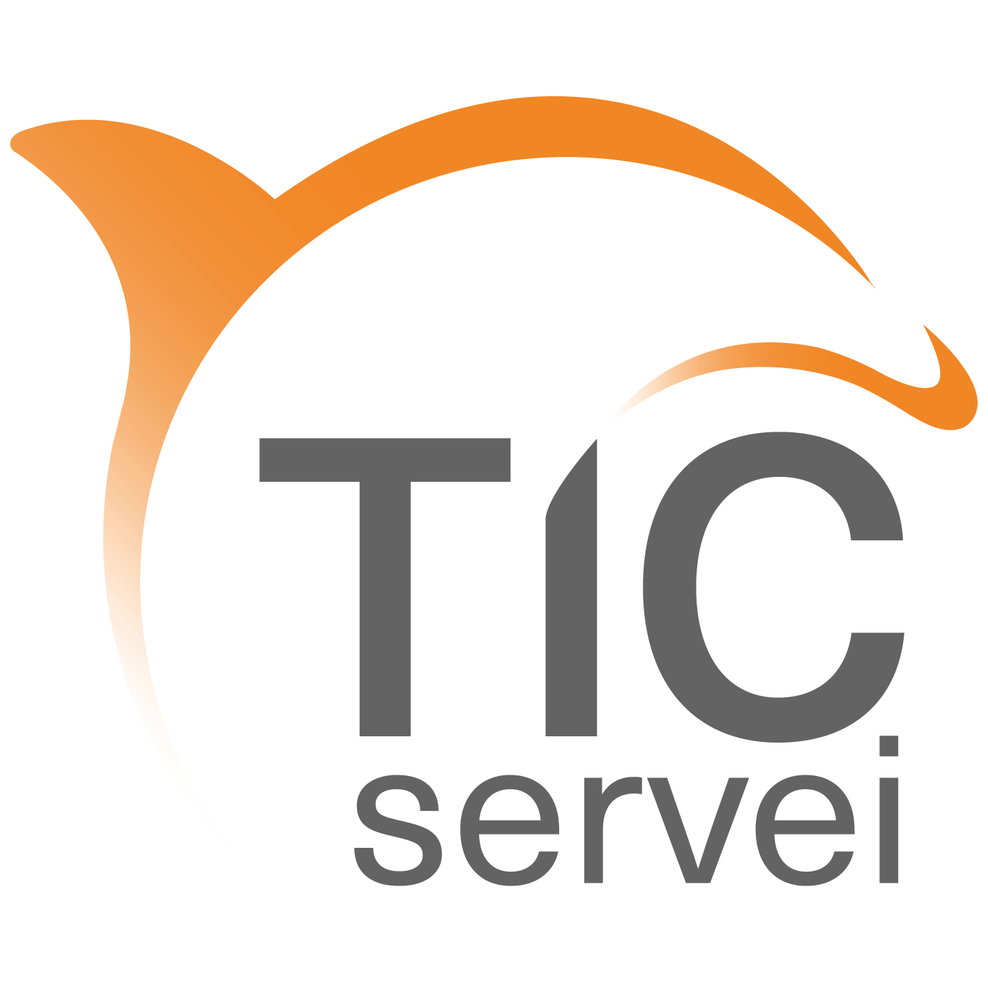 Logo Ticservei PNG